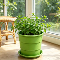 Pot de fleurs en PP 24,7 L, durable, avec trou de drainage, design minimaliste moderne, intérieur/extérieur, toutes saisons
