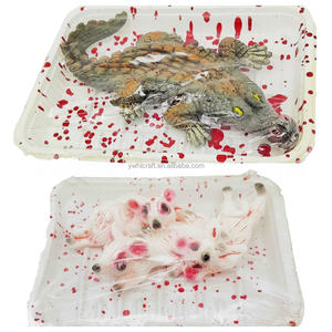 HLC Simulación de Halloween Bloody Animal Ratte Fliege Flog Gadfly Plato de cena para habitación embrujada Decoración de ambiente de terror - Product Image 3