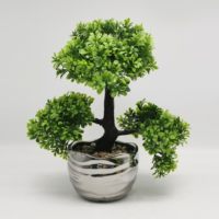 Bonsaï Offre Spéciale pour la décoration de table Bonsaï naturel pour l'intérieur et l'extérieur de l'hôtel
