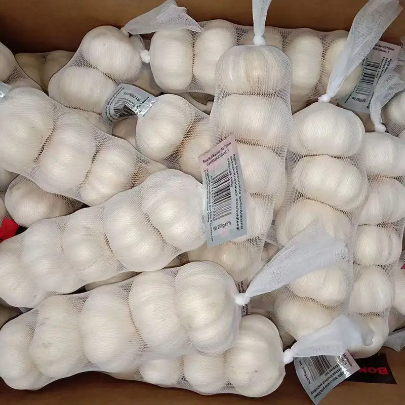 Selling garlic wholesale Export fresh garlic white purple and red garlic