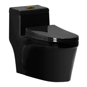 Modern American Tanpanese Style Bathroom S Trap Elongated Black Toilet Chinese Toilet Suppliers