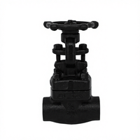 Vanne à opercule manuelle HanQian A105N en acier forgé, à souder, filetage NPT, haute température, haute pression, J/Z61H-800LB