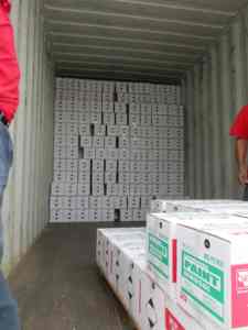 Tratamiento de <span class=keywords><strong>gasolina</strong></span> para coche, sistema de combustible diésel o <span class=keywords><strong>gasolina</strong></span> - Product Image 6