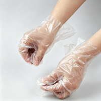Gants jetables transparents en PE pour la maison, taille unique, pour le nettoyage domestique, la coloration des cheveux et l'usage quotidien