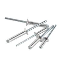 Kit de rivets aveugles à tête en acier inoxydable industriel M3 M3.2 M4 M5, zingués et polis, pour meubles et automobile