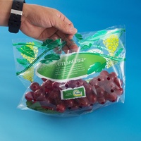 Bolsas de Embalaje para Frutas con Asa Resistente, Fuelle Inferior y Orificios de Ventilación para Almacenamiento y Transporte de Uvas