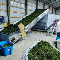 Mesin Pengering Kelopak Bunga Marigold/Calendula Tipe Baru Langsung dari Pabrik untuk Sistem Produksi Teh Bunga