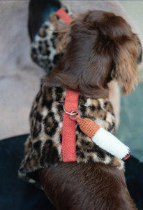 Veste de luxe pour chien à imprimé léopard pour chien et chat de taille XXS-XL. Veste française de Noël pour <span class=keywords><strong>teckel</strong></span> - Product Image 5