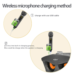 Sdrd SD306 Cộng Với 2023 Mới Nhất Gia Đình KTV 2-Trong-1 Xách Tay Karaoke Loa Không Dây Với Kép Microphone Owl Loa Âm Bass Âm Thanh - Product Image 4