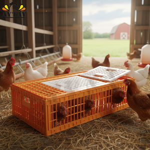 Nouveau Caisse de Transport pour Poulets à Porte Supérieure Ouverte, Capacité 12-16 Poulets, Matériau PE, Résistance aux Températures de -20°C à +80°C, Utilisation Toutes Saisons - Product Image 3