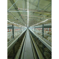Cage à poules pondeuses multifonctionnelle automatique en acier galvanisé, 5 niveaux, nouveau style maison, pour ferme avicole de petite taille 1