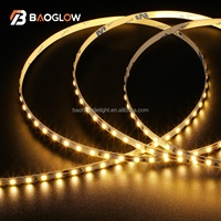 Tira de LED Personalizable de 120 LED/M, 5mm, DC 12V/24V, 2835