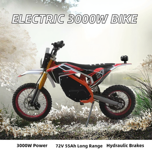 Motocicleta Todoterreno Eléctrica de 72v 3000W con Tracción Media, 100KM/H, 55Ah, Largo Alcance de 120KM - Product Image 4