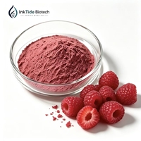 Bulk Fruitpoeder Collectie Aardbei Blauwe Bes Mango Framboos Cranberry Spraygedroogd Vriesgedroogd Poeder