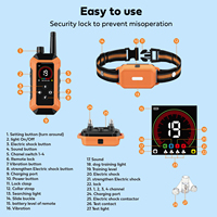 Neue Hundehalsbänder Wasserdicht Verstellbar Ton Vibration Elektrisches Haustier-Trainingszubehör Fernbedienung Hunde-Erziehungshalsbänder