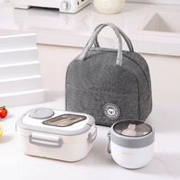 Ensemble de boîtes à lunch disponible en 3 couleurs, adapté au bureau, à l'école, aux travailleurs en plein air, à la boîte à lunch réutilisable au micro-ondes