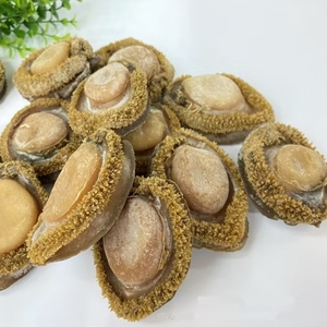 Đông lạnh bào ngư thịt hoang dã thu hoạch vỏ off làm sạch chân không đóng gói xuất khẩu chất lượng công ty hải sản tự nhiên cắt - Product Image 4