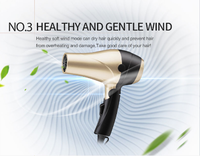 Sèche-cheveux et lisseur de salon professionnel avec design pliable, moteur DC 1000W, pour usage domestique et hôtelier