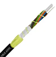 Cable de fibra óptica ADSS 4/12/24/48/96 núcleos de modo único precio de Metro hilo blindado G.652 de fibra óptica fábrica de Cable