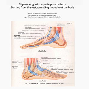 High Power Terahertz Permeate Foot Therapy Massager, Vibration Heating Foot Massager for Leg Fatigue &amp; Swelling Relief - Product Image 6