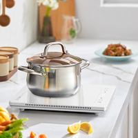 Appareils de cuisine Cuisinière électrique portable Cuisinière à induction Cuisinière électrique Cuisinière à induction