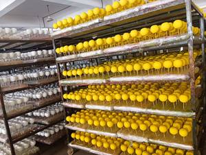 Fruits en mousse LDPE artificielle, figurines artistiques peintes à la main, décoration de la maison, mariage, vacances, taille personnalisée, pomme, banane, citron, orange - Product Image 5