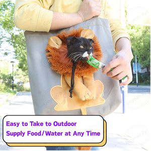 Divertido Diseño De León portador de mascotas al aire libre transpirable ventana ajustable bolsa de hombro <span class=keywords><strong>para</strong></span> mascotas <span class=keywords><strong>para</strong></span> gatos - Product Image 4