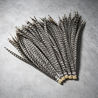 Plumes de queue de faisan Lady Amherst zébrées super longues (80-90cm, 90-100cm) pour costumes de carnaval et fournitures de fête - Vente en gros