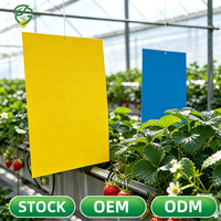 Pièges collants carrés double face en plastique jaune pour insectes, contrôle des moucherons et des moucherons blancs, gestion des parasites pour jardins intérieurs