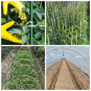 高強度天然色ガラス繊維棒フレキシブルラウンドスティックガラス繊維ステーク固体切削加工サービス - Product Image 2