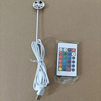 Placa PCB LED SMD RGB Moderna de 5V, 31mm de Diámetro, Control Remoto, Fuente de Luz Nocturna, 24 Teclas, Base de Madera, Cable USB de 1.5m, Mini
