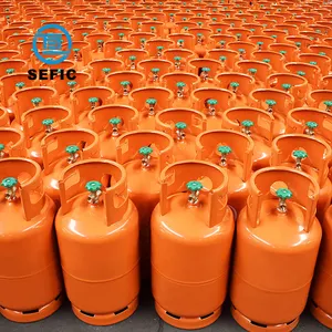 SEFIC 15kg Lpg Gas Cylinder Tank Bottle For Household Cooking LPG Tank Low Price