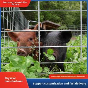 제조업체 맞춤형 돼지 패널 수출 용접 메쉬 시트 핫 디핑 멧돼지 메쉬 2,4,6, 8 인치 메쉬 - Product Image 4