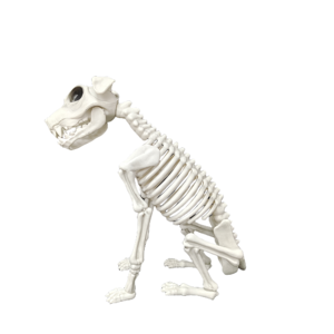 Novelty Halloween Party Decorations <b>Dog</b> <b>Skeleton</b> Plastic Craft Atmosphere Props for House Parties - Product Image 2