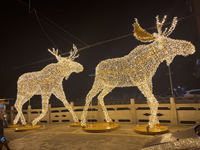 Affichages commerciaux de vacances en plein air éclairés grand orignal de Noël 3d éclairer LED motif animaux de la rue renne lumière