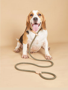 Laisse pour chien en nylon crème, style simple mains libres avec anneau métallique et détails en cuir - Product Image 6