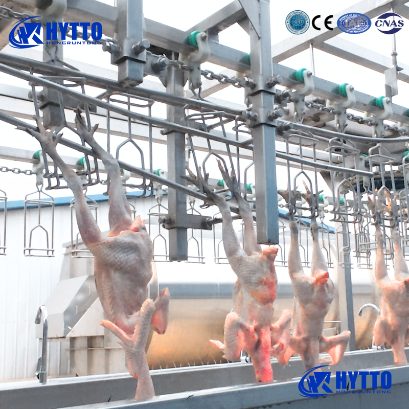 Premium Chicken Slaughterhouse Equipment for Reliable