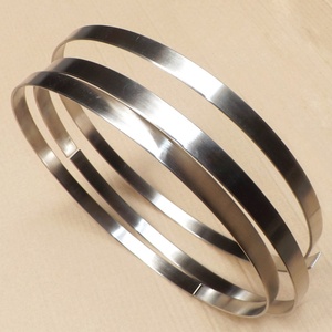 แหวนนำไฟฟ้าแบบมาตรฐานสำหรับการอบชุบนิกเกิล, แถบนิกเกิล - Product Image 4