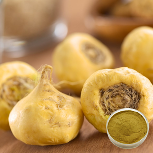 Fornitura di Fabbrica: Estratto Naturale in Polvere 4:1, 10:1, 20:1 (Estrazione con Solvente) per Radici, in Fusto da 25kg - Product Image 4
