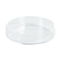 Aquarium crevettes alimentation plat bol bol mangeoire plateau récipient verre crevettes alimentation plat pour crevettes nourriture