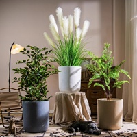 Pot de fleurs en MgO directement de l'usine, jardinière en oxyde de magnésium, argile fibreuse, léger, ciment décoratif, intérieur/extérieur, fabricant OEM