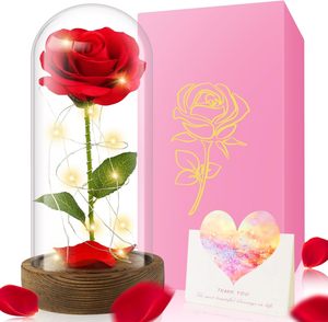 Rose LED <span class=keywords><strong>La</strong></span> <span class=keywords><strong>Belle</strong></span> <span class=keywords><strong>et</strong></span> <span class=keywords><strong>la</strong></span> <span class=keywords><strong>Bête</strong></span>, rose enchantée en galaxie, fleurs éternelles <span class=keywords><strong>dans</strong></span> un dôme, pour Noël, <span class=keywords><strong>la</strong></span> fête des mères, <span class=keywords><strong>la</strong></span> Saint-Valentin, cadeau - Product Image 1