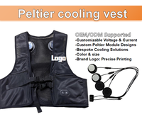 Gilet Portatile OEM con Controllo Intelligente della Temperatura, Raffreddamento/Riscaldamento a Semiconduttore per Lavoro Estivo in Ambienti Estremi