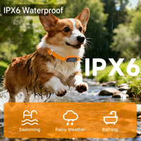 Traceur GPS pour animaux de compagnie C08 P 4G, Navigateur Bluetooth avec écran OLED, Étanche IPX6, Confortable en silicone, Batterie 1000 mAh, Autonomie 1 an
