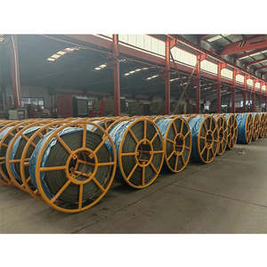 เครนเชือกลวดเหล็กแกนป่านศรนารายณ์2024มีความแข็งแรงสูงสำหรับแรงบิด - Product Image 4