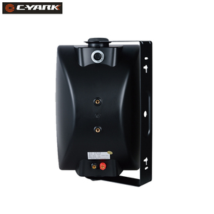 BS-250W thụ động 2 chiều nhựa trong tường loa 8ohm cho ngoài trời phát sóng công cộng các cuộc họp công cộng siêu thị mua sắm - Product Image 2