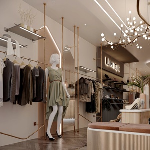 Aménagement intérieur de boutique de vêtements pour femmes modernes, présentoirs sur mesure pour vêtements, mobilier de magasin de détail, équipement de boutique - Product Image 2