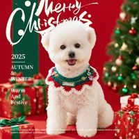 Collection d'accessoires pour animaux de compagnie : collier, bandana pour chien, écharpe pour chat pour Halloween et Noël