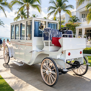 ZOWN Vente Flash : Carrosse Royal Électrique Sans Chevaux, Design Vintage Élégant pour Visites de Parcs et Décoration de Mariages - Product Image 1
