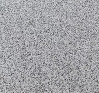 Carreaux de granit gris clair G603 professionnels - Carreaux de pierre naturelle blanche sésame polie pour sols de garage extérieurs
